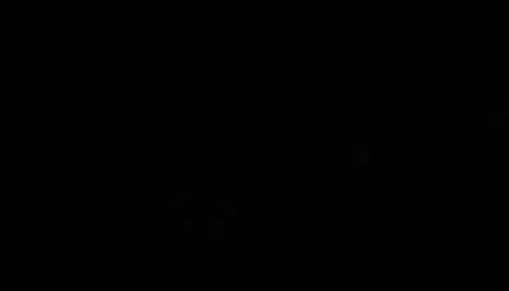 Участие женской аудитории в фанатской культуре - иллюстрация